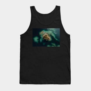 Forest Island in a shallow Lake Tank Top